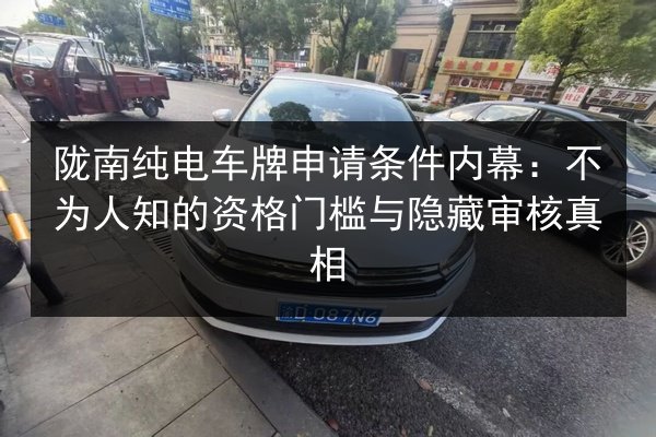 陇南纯电车牌申请条件内幕:不为人知的资格门槛与隐藏审核真相 第2张 陇南纯电车牌申请条件内幕:不为人知的资格门槛与隐藏审核真相 第2张