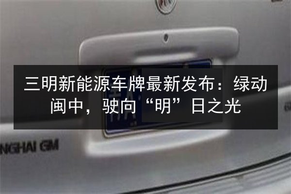 三明新能源车牌最新发布:绿动闽中,驶向“明”日之光 第2张 三明新能源车牌最新发布:绿动闽中,驶向“明”日之光 第2张
