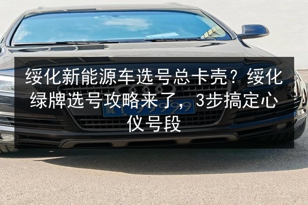 绥化新能源车选号总卡壳?绥化绿牌选号攻略来了,3步搞定心仪号段 第3张 绥化新能源车选号总卡壳?绥化绿牌选号攻略来了,3步搞定心仪号段 第3张
