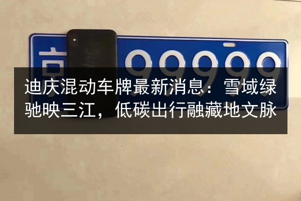 迪庆混动车牌最新消息:雪域绿驰映三江,低碳出行融藏地文脉 第2张 迪庆混动车牌最新消息:雪域绿驰映三江,低碳出行融藏地文脉 第2张
