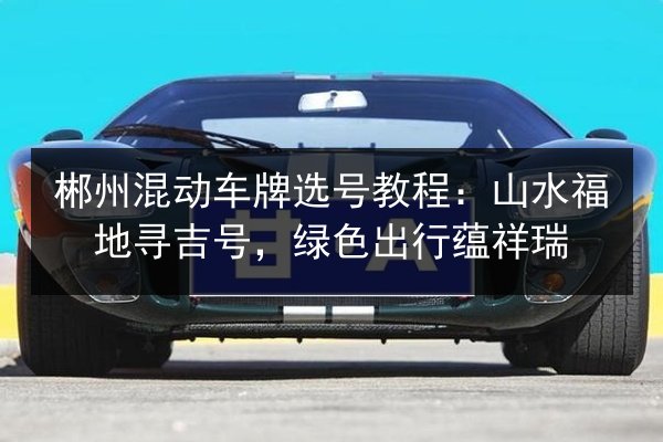 郴州混动车牌选号教程：山水福地寻吉号，绿色出行蕴祥瑞