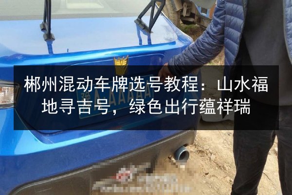 郴州混动车牌选号教程：山水福地寻吉号，绿色出行蕴祥瑞 第2张