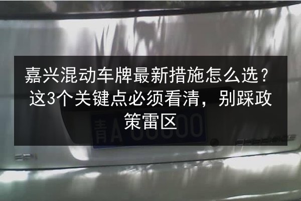 嘉兴混动车牌最新措施怎么选?这3个关键点必须看清,别踩政策雷区 第2张 嘉兴混动车牌最新措施怎么选?这3个关键点必须看清,别踩政策雷区 第2张