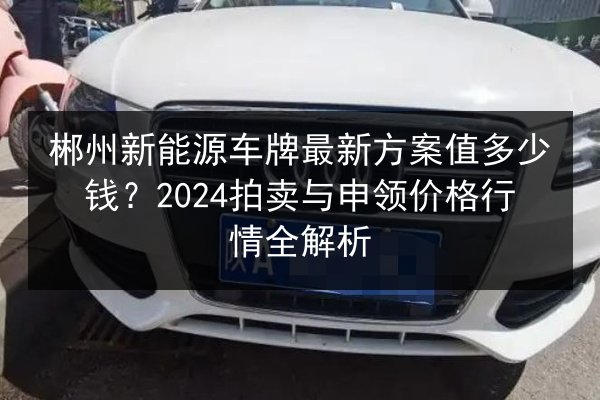 郴州新能源车牌最新方案值多少钱？2024拍卖与申领价格行情全解析 第2张