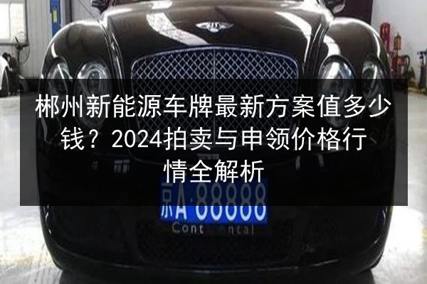 郴州新能源车牌最新方案值多少钱？2024拍卖与申领价格行情全解析 第3张