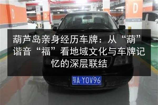 葫芦岛亲身经历车牌：从“葫”谐音“福”看地域文化与车牌记忆的深层联结 第2张