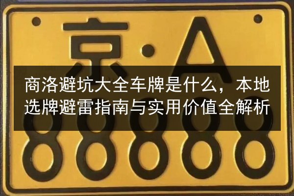商洛避坑大全车牌是什么，本地选牌避雷指南与实用价值全解析