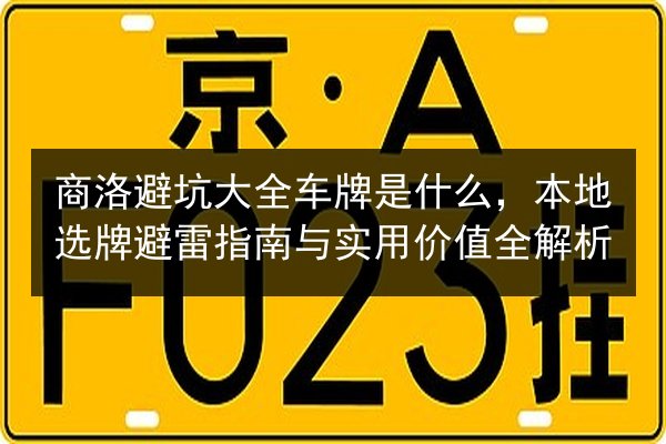商洛避坑大全车牌是什么，本地选牌避雷指南与实用价值全解析 第2张