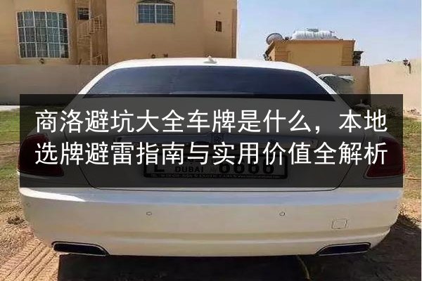 商洛避坑大全车牌是什么，本地选牌避雷指南与实用价值全解析 第3张