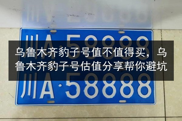 乌鲁木齐豹子号值不值得买，乌鲁木齐豹子号估值分享帮你避坑 第2张