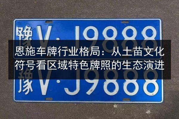 恩施车牌行业格局：从土苗文化符号看区域特色牌照的生态演进