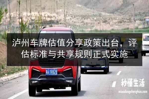泸州车牌估值分享政策出台，评估标准与共享规则正式实施