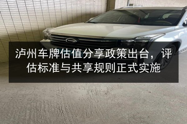 泸州车牌估值分享政策出台,评估标准与共享规则正式实施 第2张 泸州车牌估值分享政策出台,评估标准与共享规则正式实施 第2张