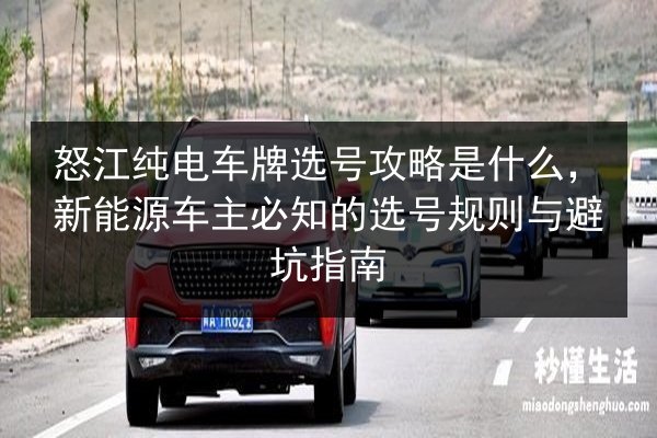 怒江纯电车牌选号攻略是什么，新能源车主必知的选号规则与避坑指南