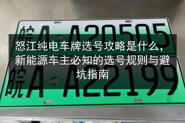 怒江纯电车牌选号攻略是什么,新能源车主必知的选号规则与避坑指南 第2张 怒江纯电车牌选号攻略是什么,新能源车主必知的选号规则与避坑指南 第2张