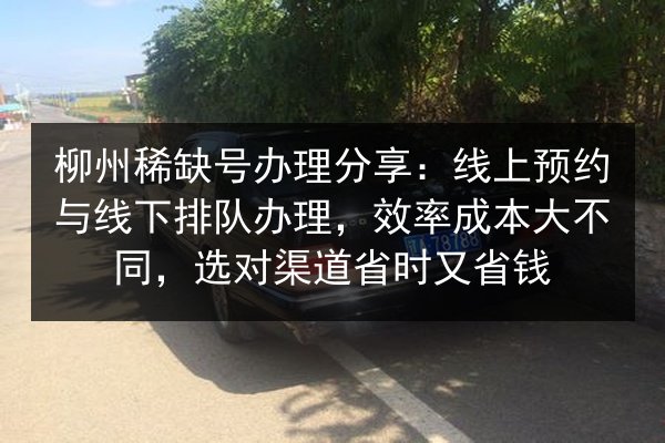 柳州稀缺号办理分享：线上预约与线下排队办理，效率成本大不同，选对渠道省时又省钱