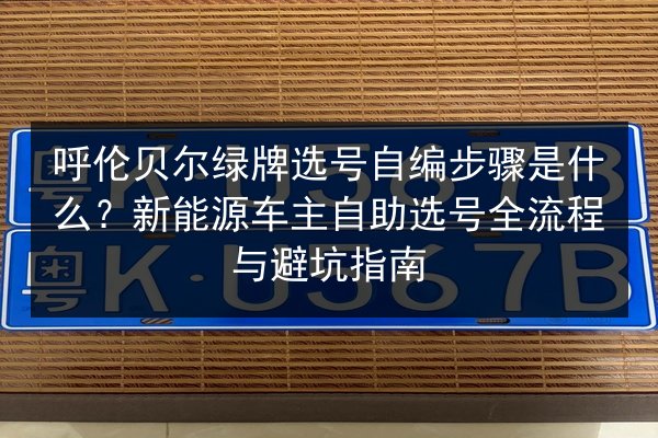 呼伦贝尔绿牌选号自编步骤是什么？新能源车主自助选号全流程与避坑指南 第2张