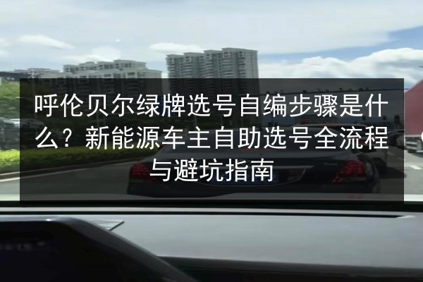 呼伦贝尔绿牌选号自编步骤是什么？新能源车主自助选号全流程与避坑指南 第3张