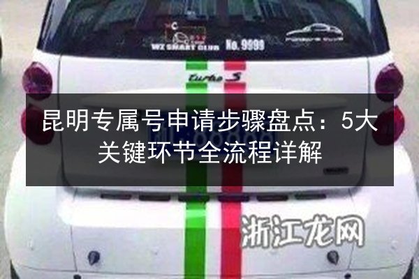 昆明专属号申请步骤盘点：5大关键环节全流程详解