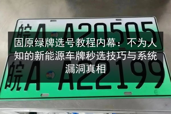 固原绿牌选号教程内幕：不为人知的新能源车牌秒选技巧与系统漏洞真相 第2张
