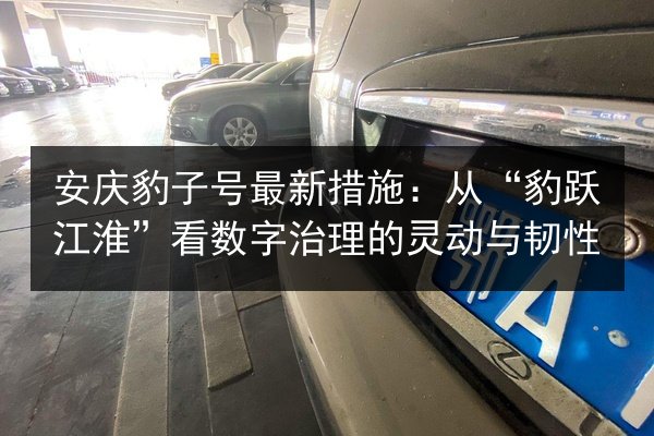 安庆豹子号最新措施：从“豹跃江淮”看数字治理的灵动与韧性