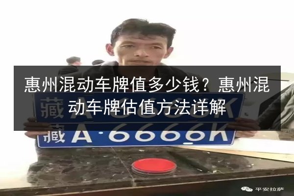 惠州混动车牌值多少钱？惠州混动车牌估值方法详解 第2张