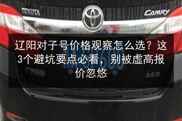 辽阳对子号价格观察怎么选？这3个避坑要点必看，别被虚高报价忽悠 第2张