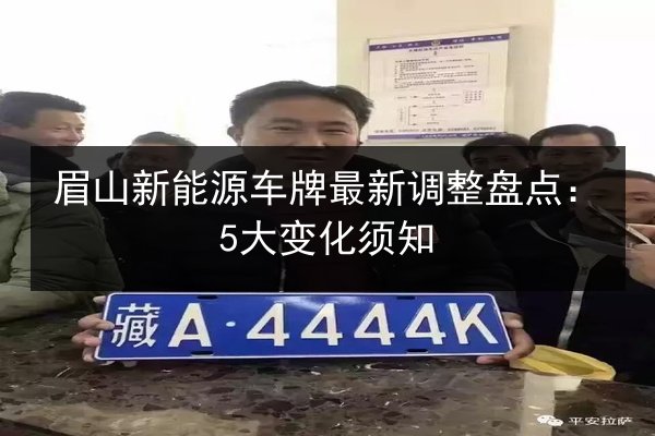 眉山新能源车牌最新调整盘点:5大变化须知 第2张 眉山新能源车牌最新调整盘点:5大变化须知 第2张