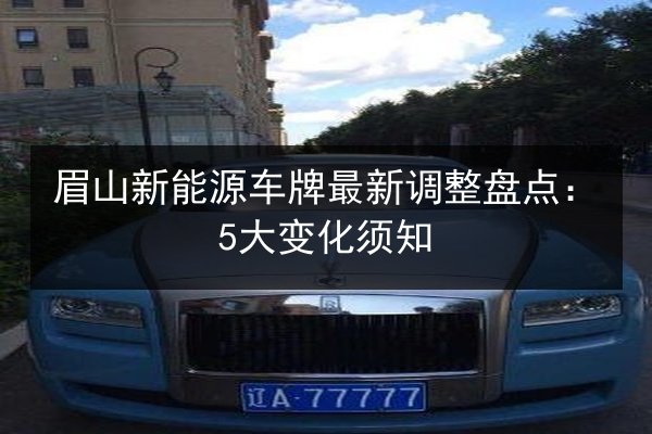 眉山新能源车牌最新调整盘点:5大变化须知 第3张 眉山新能源车牌最新调整盘点:5大变化须知 第3张