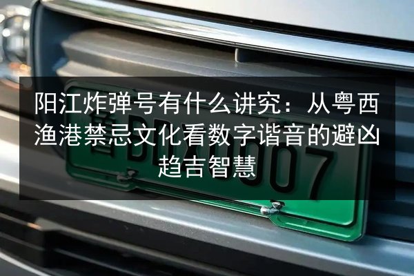 阳江炸弹号有什么讲究：从粤西渔港禁忌文化看数字谐音的避凶趋吉智慧 第2张