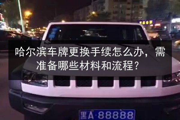 哈尔滨车牌更换手续怎么办,需准备哪些材料和流程? 第2张 哈尔滨车牌更换手续怎么办,需准备哪些材料和流程? 第2张