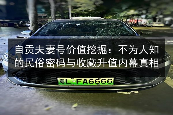 自贡夫妻号价值挖掘:不为人知的民俗密码与收藏升值内幕真相 第2张 自贡夫妻号价值挖掘:不为人知的民俗密码与收藏升值内幕真相 第2张