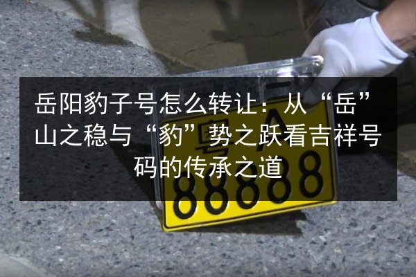 岳阳豹子号怎么转让：从“岳”山之稳与“豹”势之跃看吉祥号码的传承之道 第1张