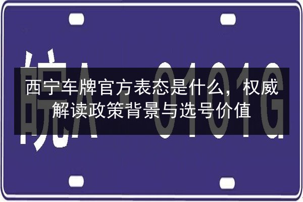 西宁车牌官方表态是什么，权威解读政策背景与选号价值 第2张