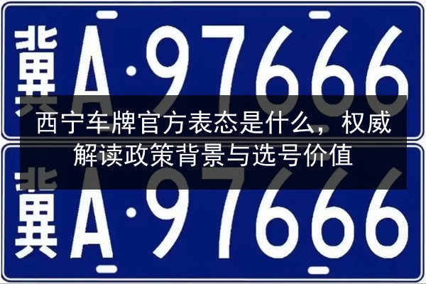 西宁车牌官方表态是什么，权威解读政策背景与选号价值 第3张
