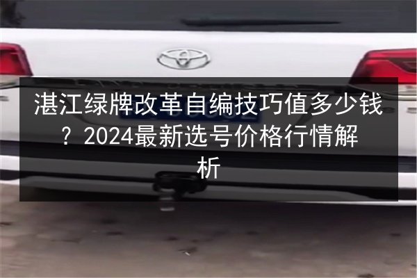 湛江绿牌改革自编技巧值多少钱？2024最新选号价格行情解析 第3张