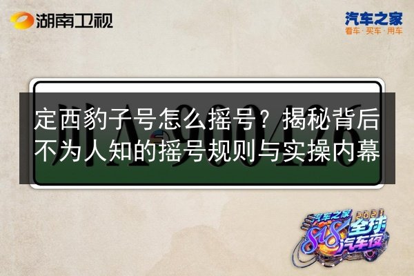 定西豹子号怎么摇号？揭秘背后不为人知的摇号规则与实操内幕