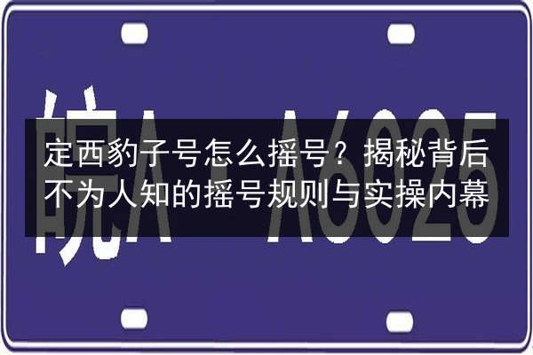 定西豹子号怎么摇号?揭秘背后不为人知的摇号规则与实操内幕 第2张 定西豹子号怎么摇号?揭秘背后不为人知的摇号规则与实操内幕 第2张