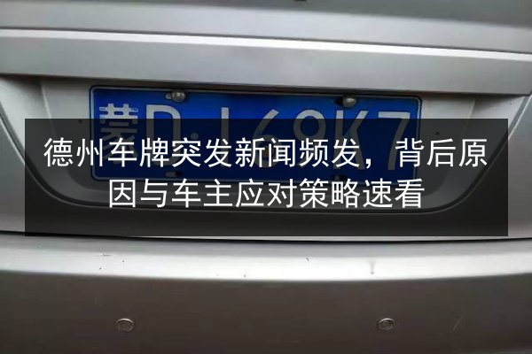 德州车牌突发新闻频发，背后原因与车主应对策略速看 第2张