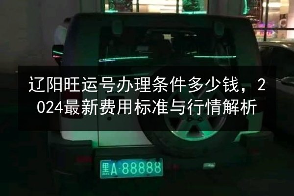辽阳旺运号办理条件多少钱,2024最新费用标准与行情解析 第3张 辽阳旺运号办理条件多少钱,2024最新费用标准与行情解析 第3张