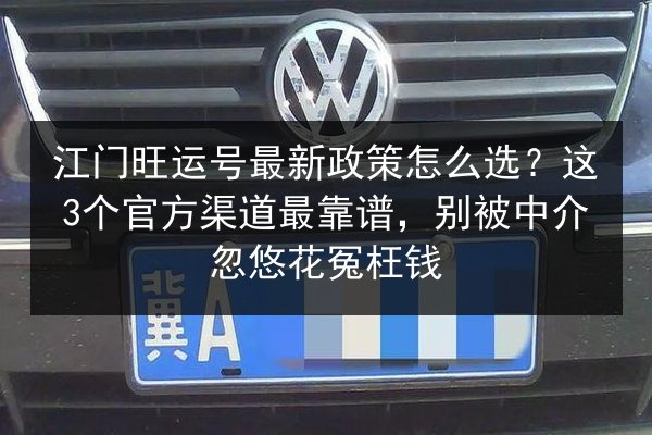 江门旺运号最新政策怎么选？这3个官方渠道最靠谱，别被中介忽悠花冤枉钱 第3张