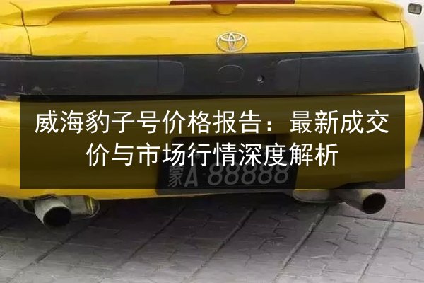 威海豹子号价格报告：最新成交价与市场行情深度解析 第2张