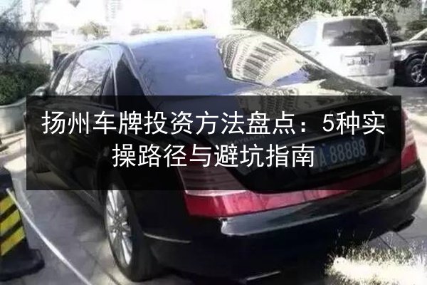 扬州车牌投资方法盘点：5种实操路径与避坑指南