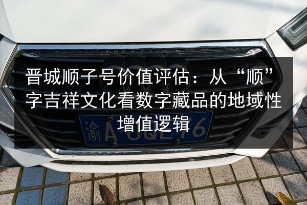 晋城顺子号价值评估：从“顺”字吉祥文化看数字藏品的地域性增值逻辑 第2张