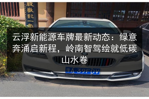 云浮新能源车牌最新动态：绿意奔涌启新程，岭南智驾绘就低碳山水卷 第2张