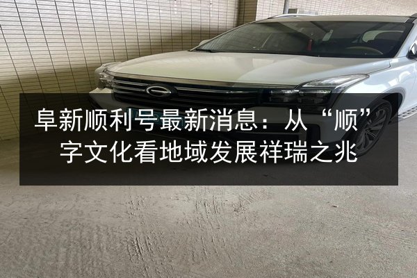 阜新顺利号最新消息：从“顺”字文化看地域发展祥瑞之兆