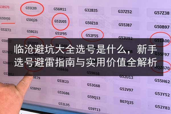 临沧避坑大全选号是什么，新手选号避雷指南与实用价值全解析