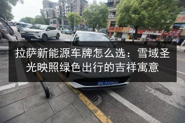 拉萨新能源车牌怎么选：雪域圣光映照绿色出行的吉祥寓意 第2张
