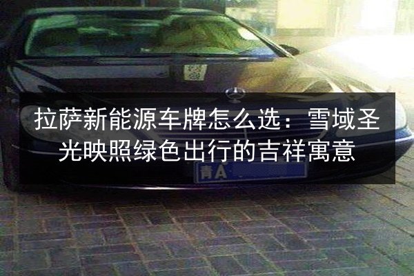 拉萨新能源车牌怎么选：雪域圣光映照绿色出行的吉祥寓意 第3张