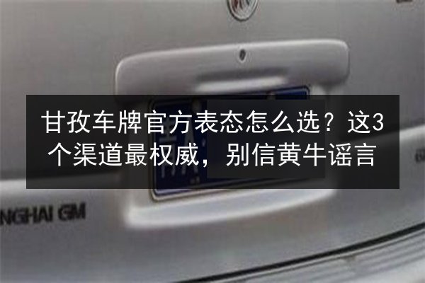 甘孜车牌官方表态怎么选？这3个渠道最权威，别信黄牛谣言